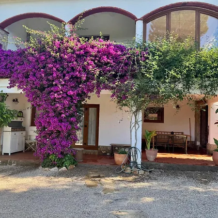بيت للعطل Praga 2 - Encantadora Casa Con Piscina Y Vistas Al Bosque! بالس